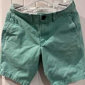 Abercrombie & Fitch Light Green Flat Front Shorts